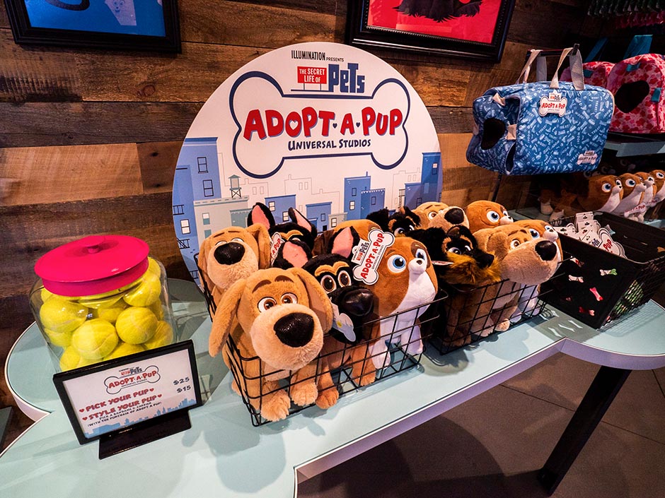 Adopt-A-Pup Station in The Pets Store